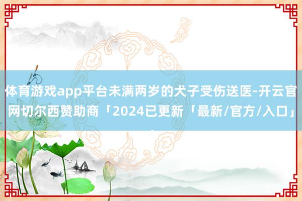 体育游戏app平台未满两岁的犬子受伤送医-开云官网切尔西赞助商「2024已更新「最新/官方/入口」